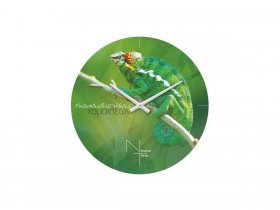 Часы настенные Nicole Time NT503 в Мошково - moshkovo.mebel-nsk.ru | фото